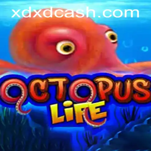 Descubra o Fascinante Mundo de OctopusLife e XDXD.COM